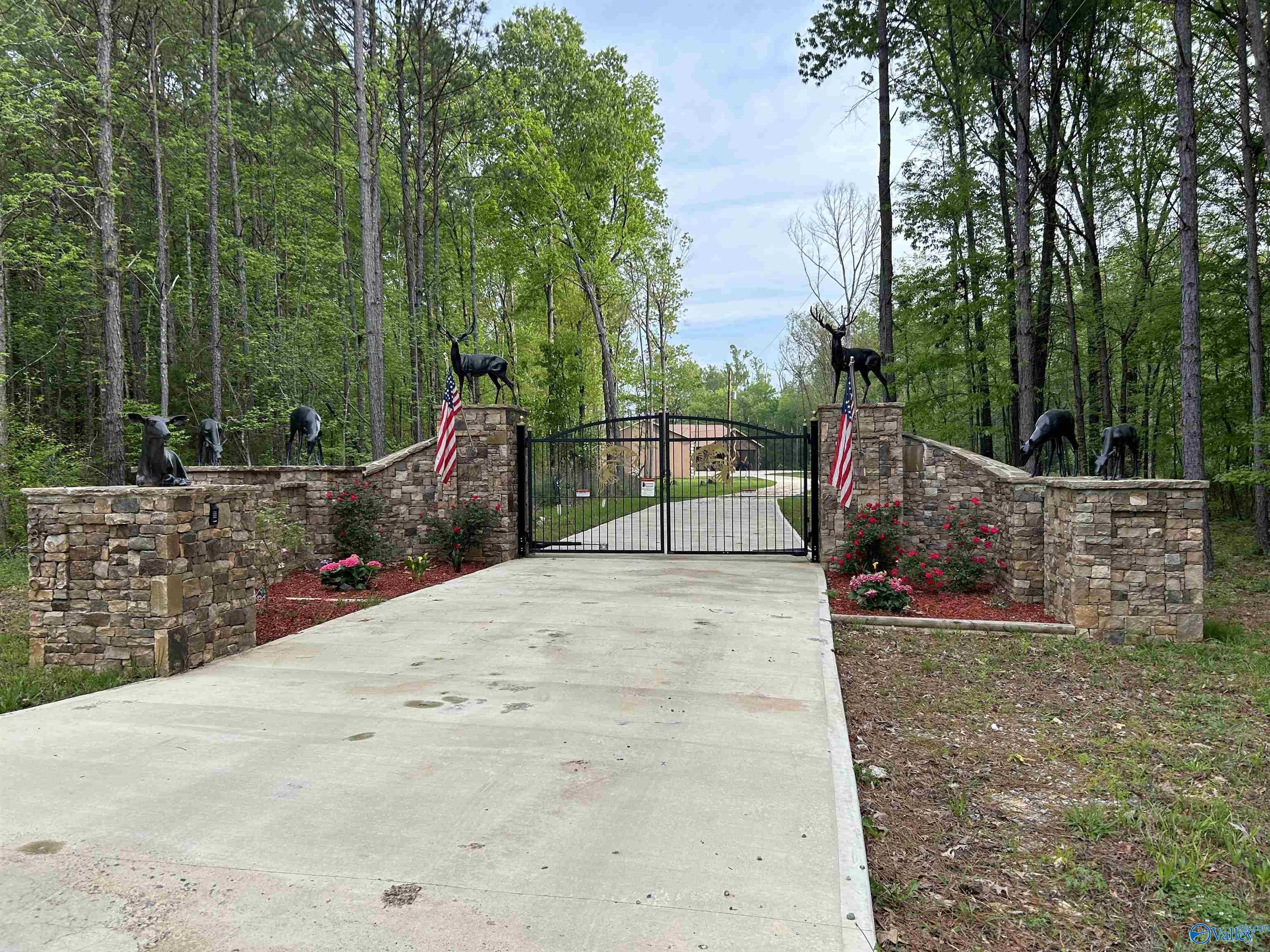 3899 Hidden Cove Drive, Cedar Bluff, Alabama image 10