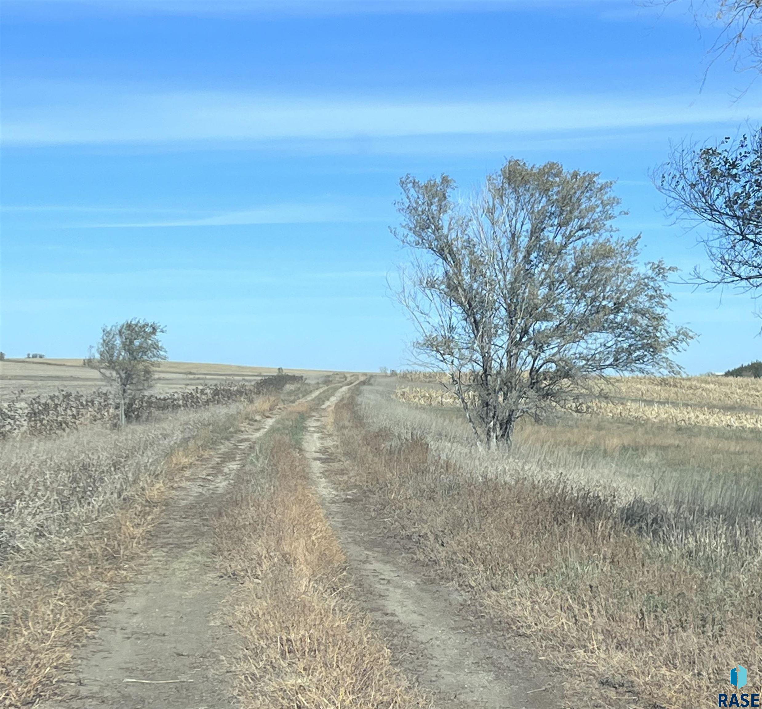 Geddes, South Dakota 57342, United States, ,Land,Pending,63704