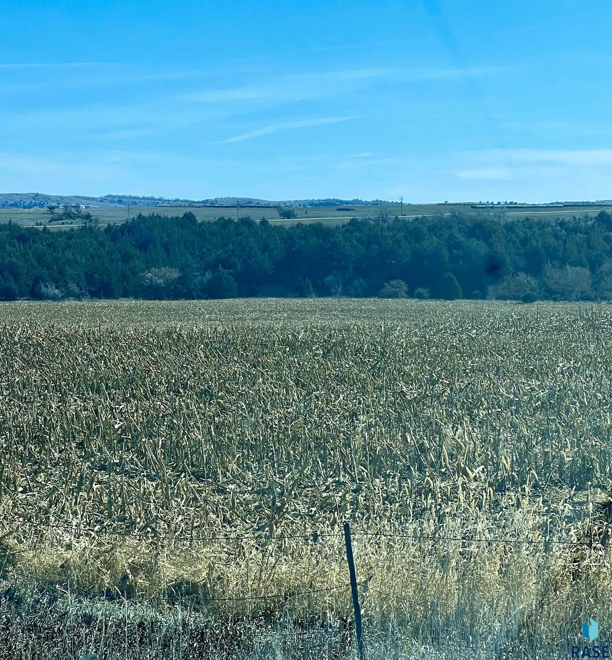 Geddes, South Dakota 57342, United States, ,Land,Pending,63704