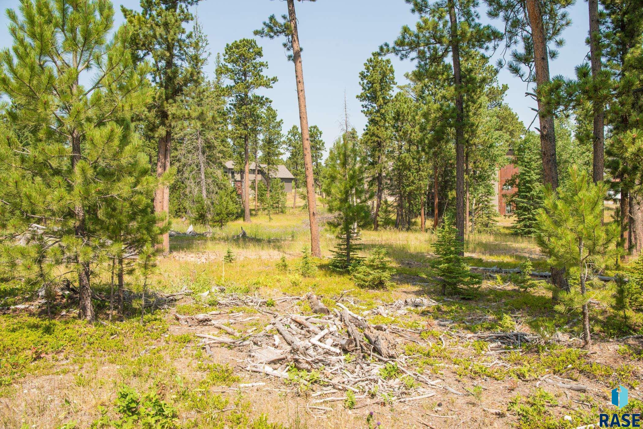 Tbd Rubys Way Way, Lead, South Dakota image 13
