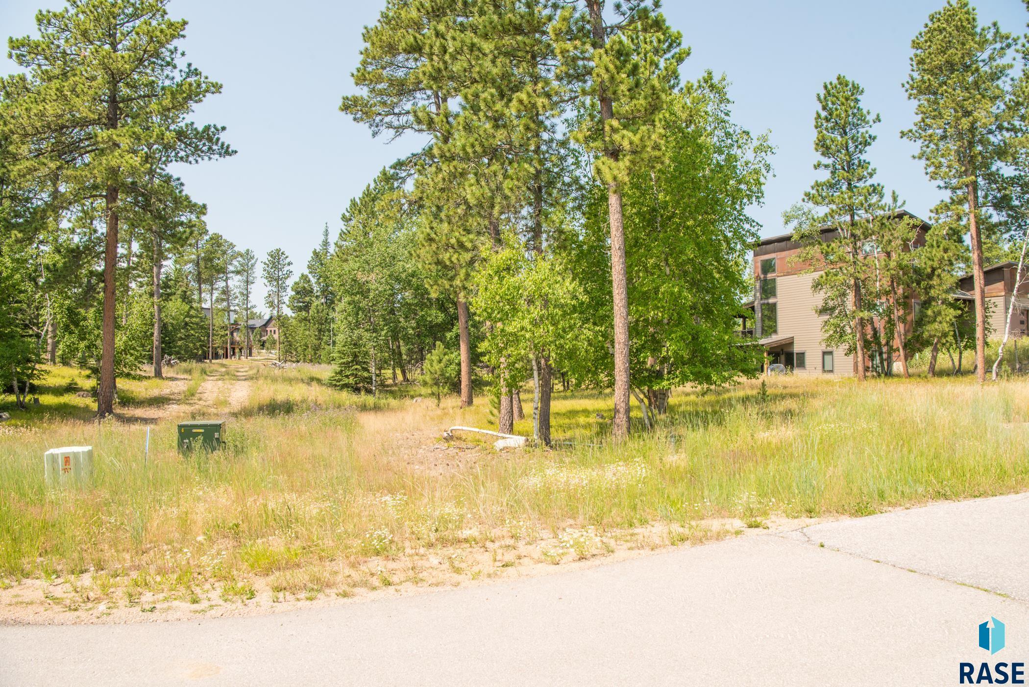 Tbd Rubys Way Way, Lead, South Dakota image 16