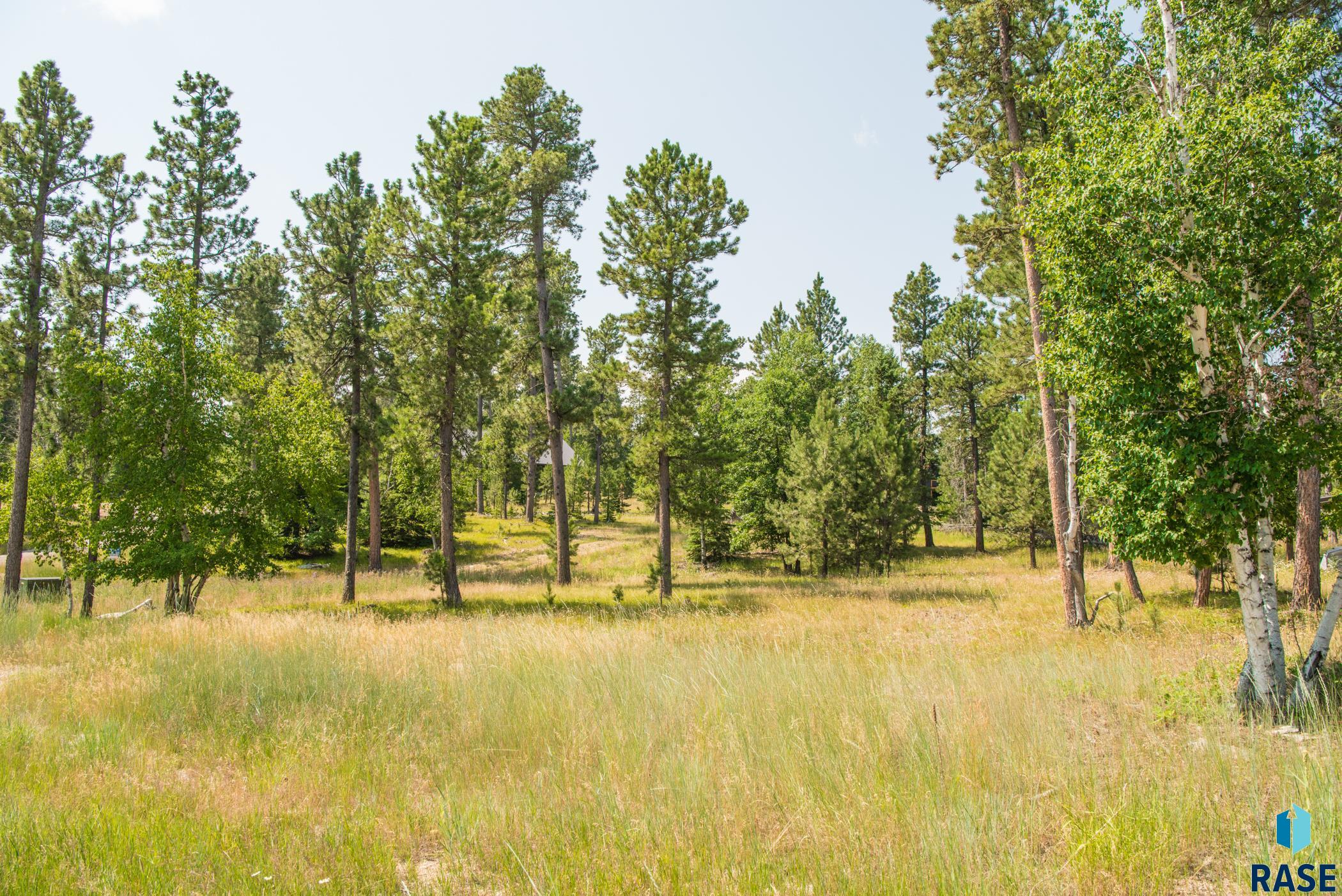 Tbd Rubys Way Way, Lead, South Dakota image 1