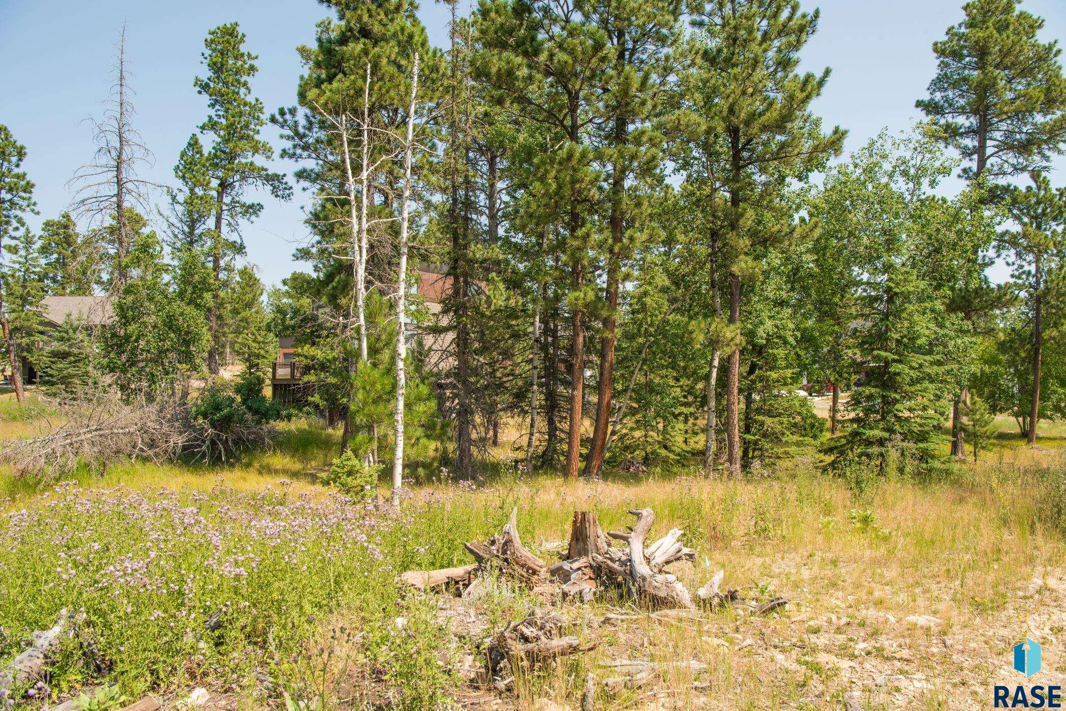 Tbd Rubys Way Way, Lead, South Dakota image 12