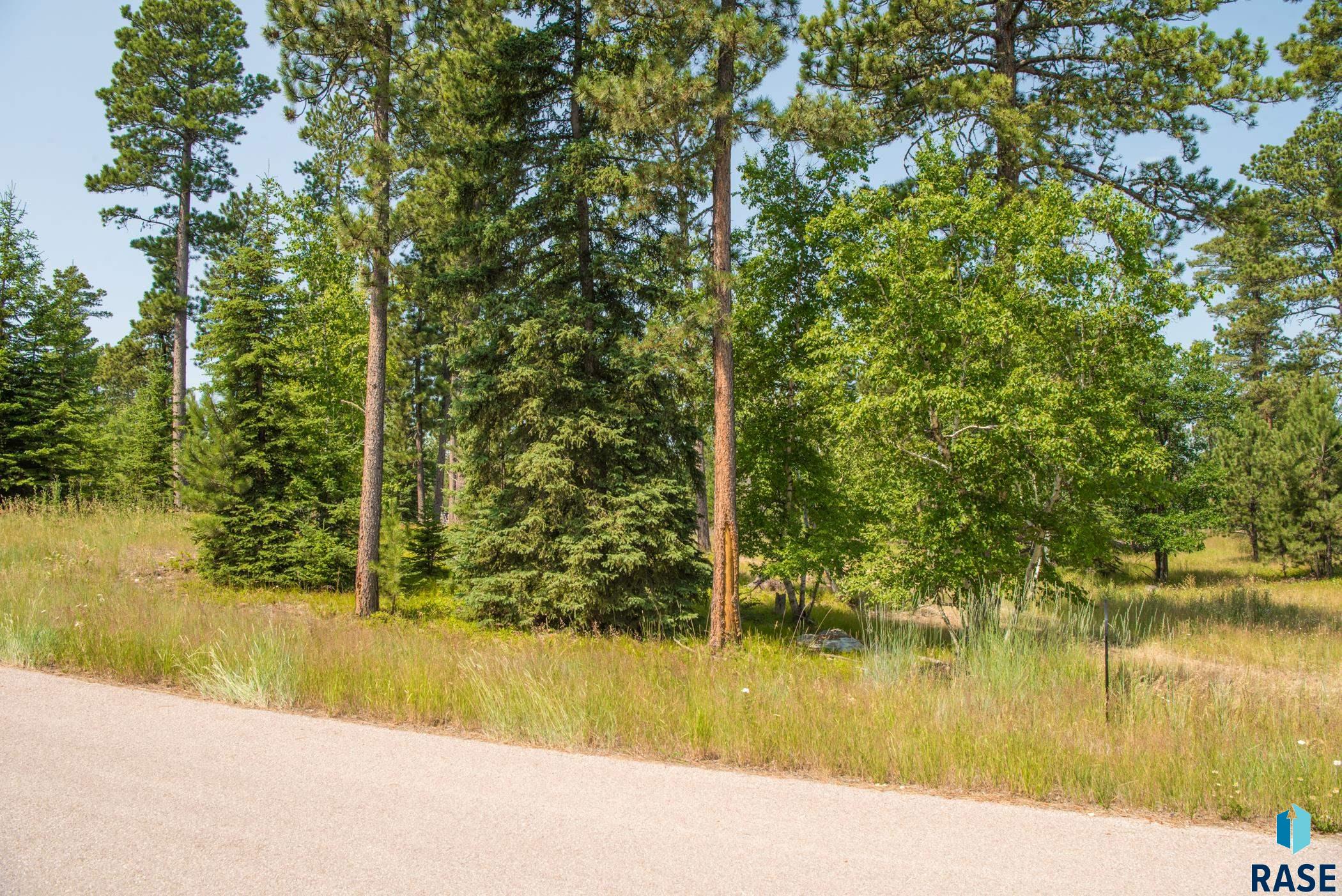 Tbd Rubys Way Way, Lead, South Dakota image 4