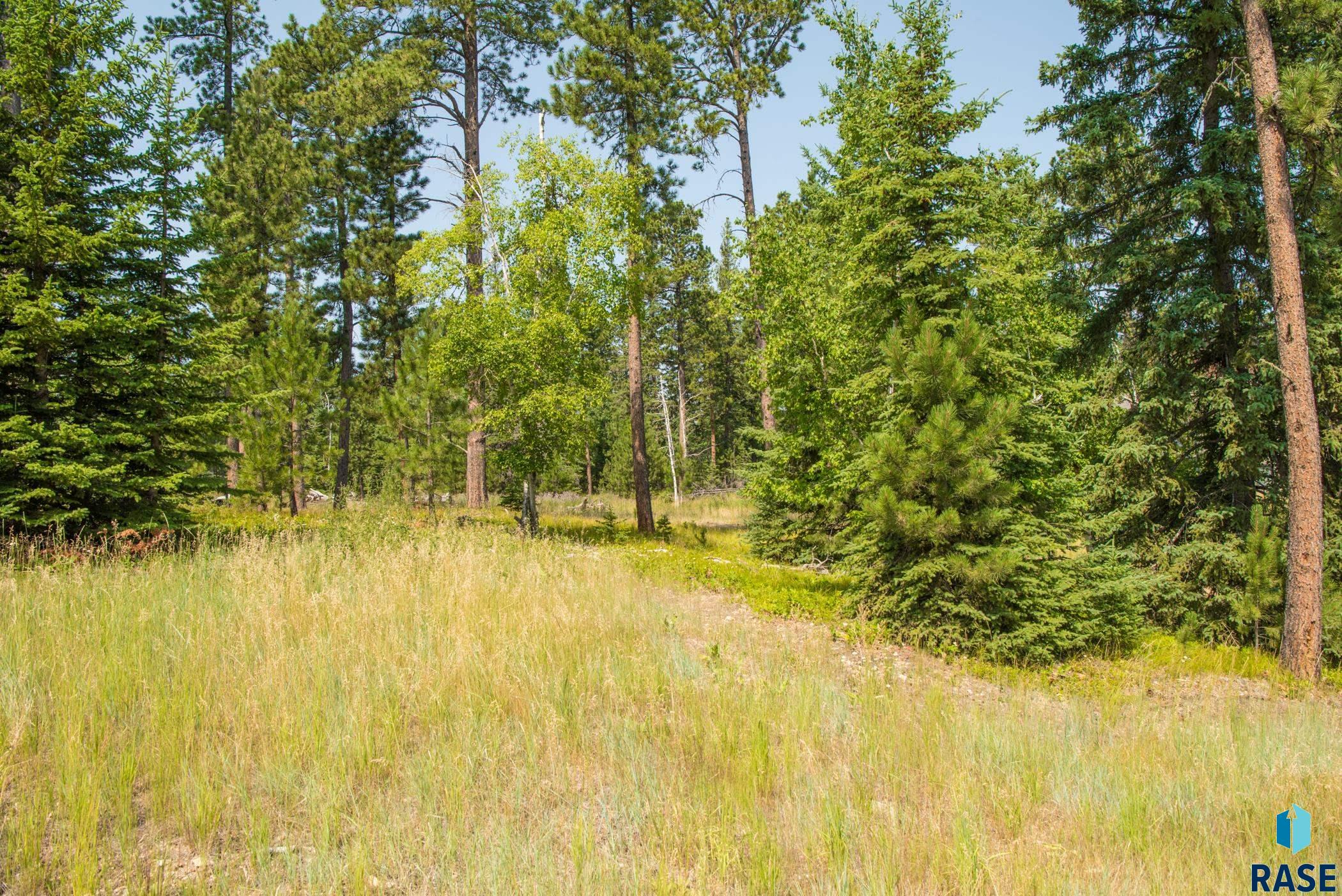 Tbd Rubys Way Way, Lead, South Dakota image 5