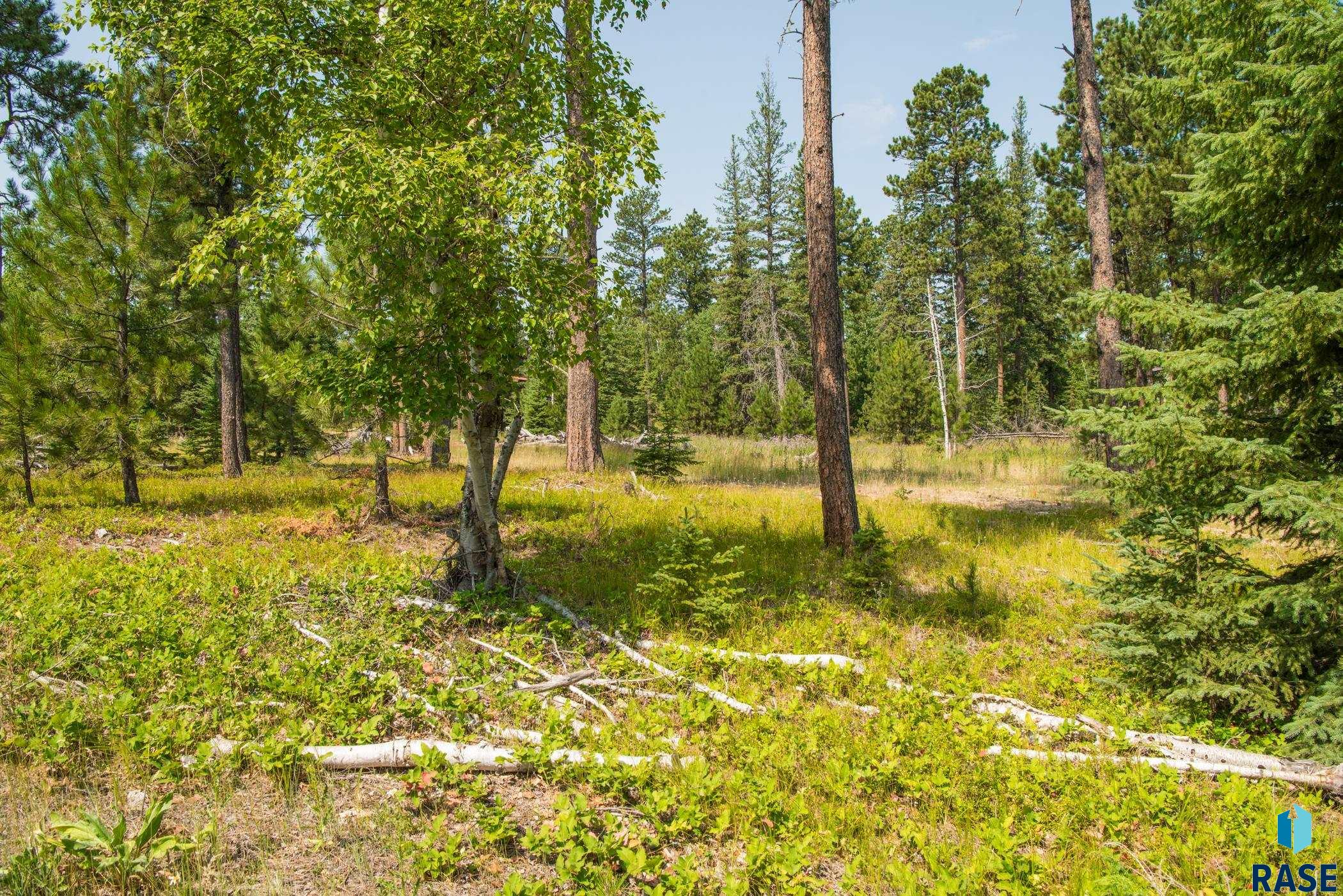 Tbd Rubys Way Way, Lead, South Dakota image 6