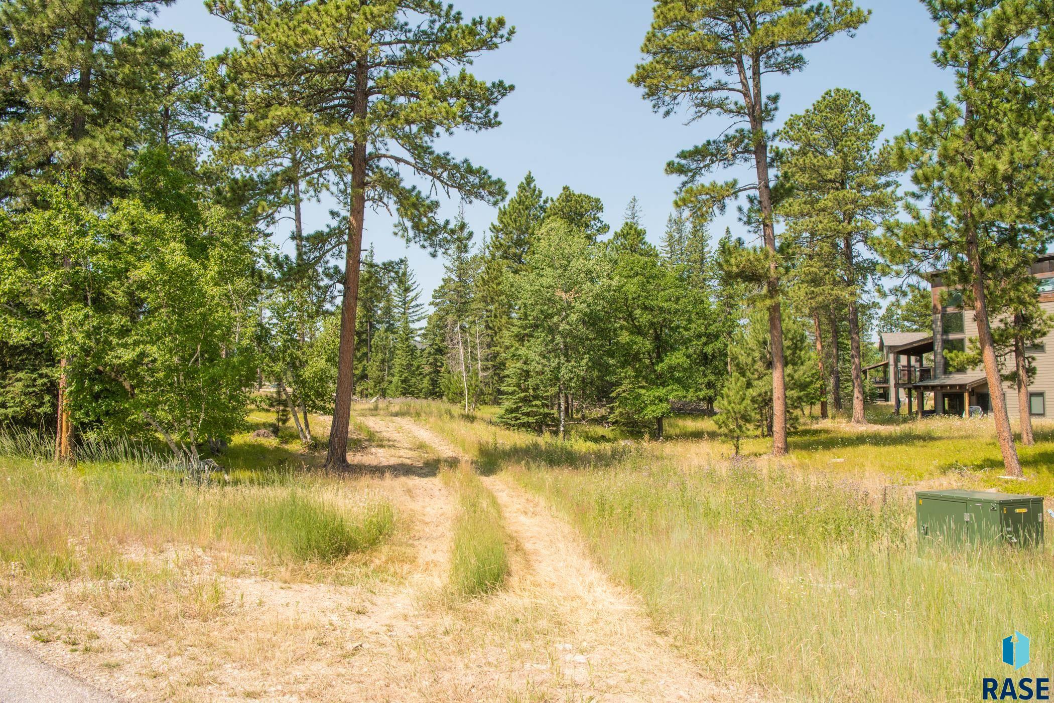 Tbd Rubys Way Way, Lead, South Dakota image 3