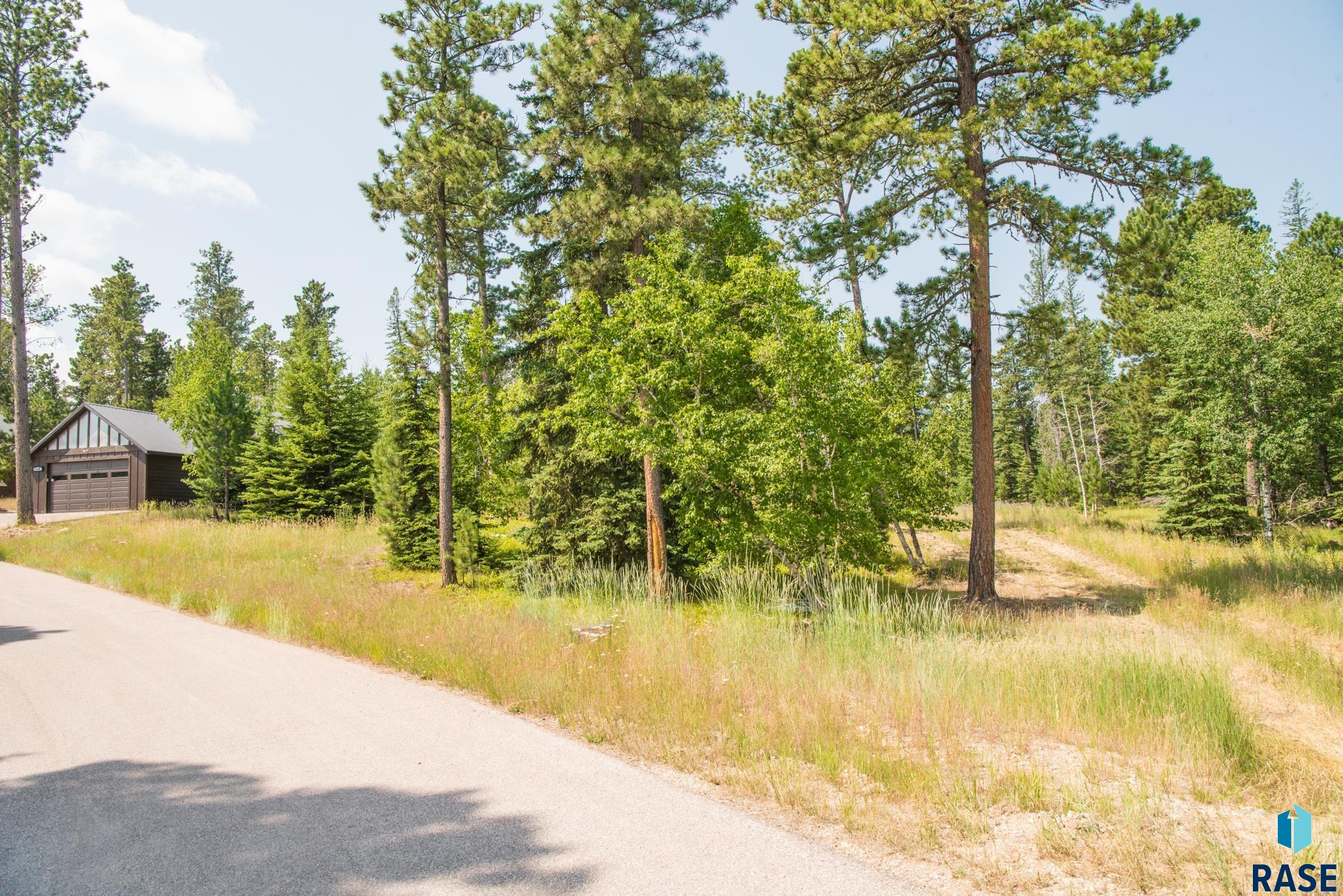 Tbd Rubys Way Way, Lead, South Dakota image 15