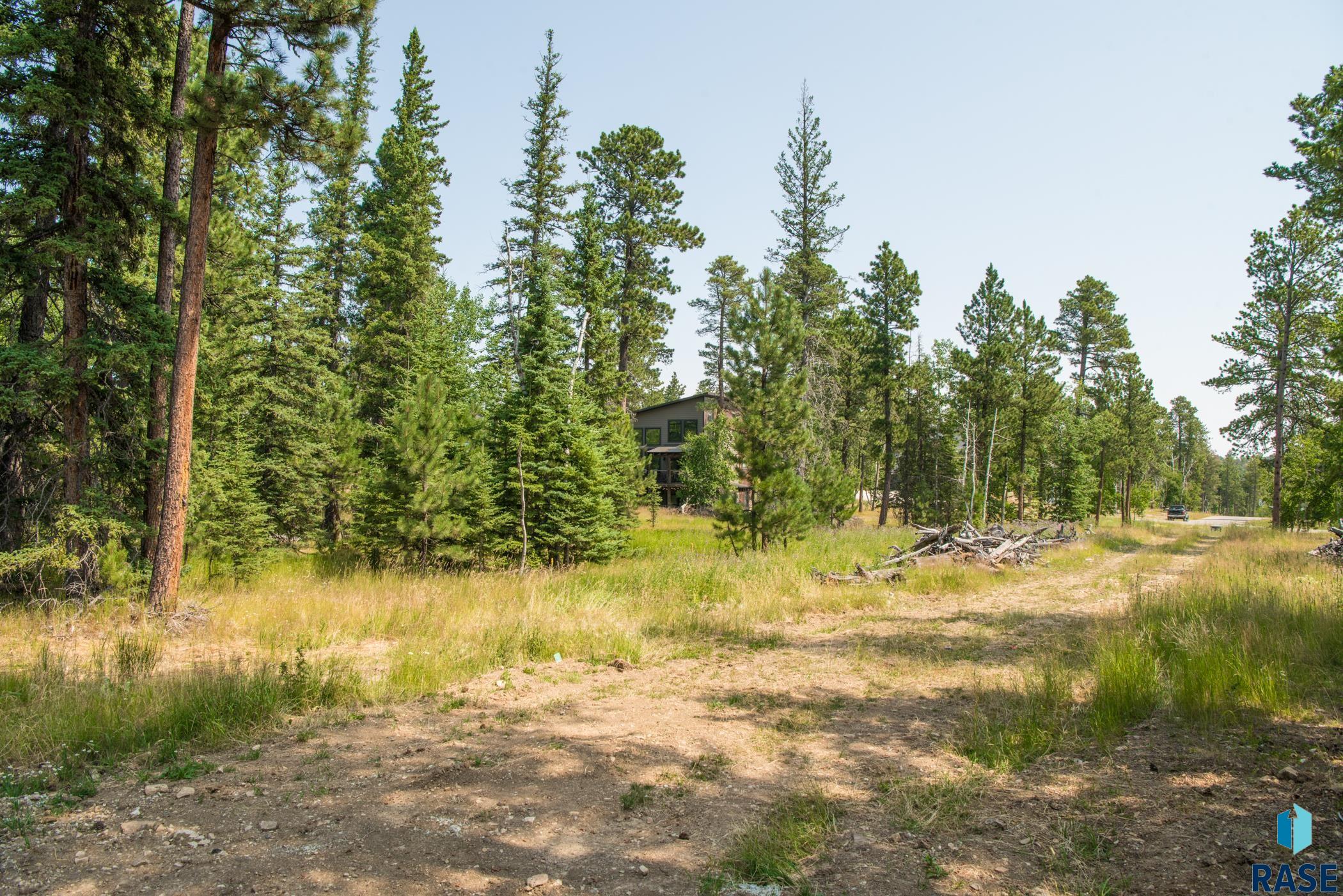 Tbd Rubys Way Way, Lead, South Dakota image 10