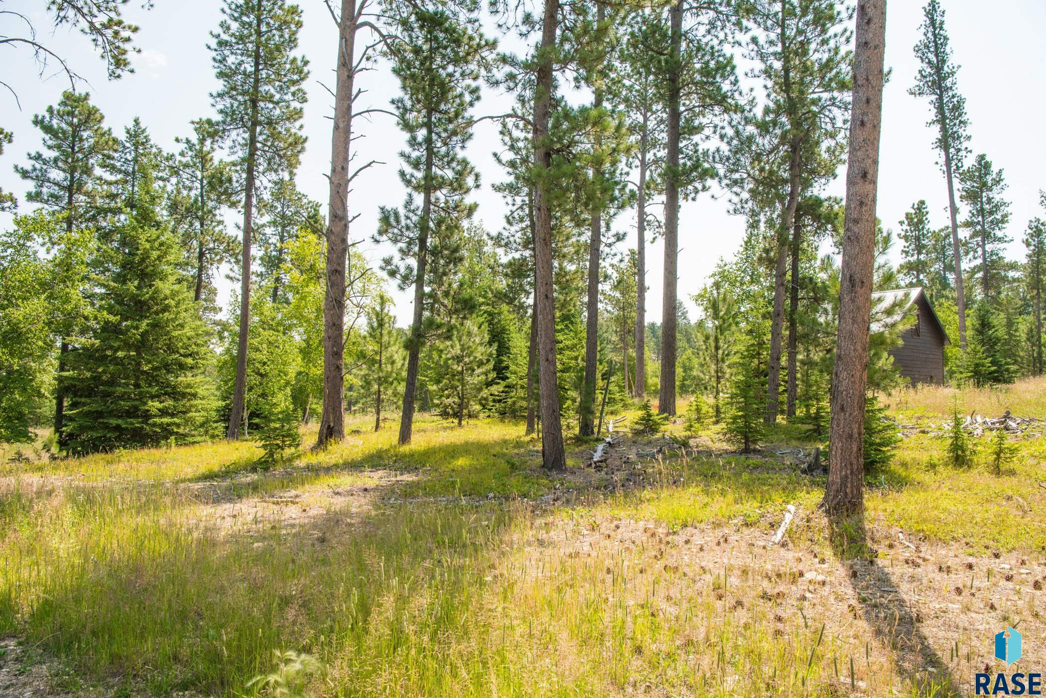 Tbd Rubys Way Way, Lead, South Dakota image 11