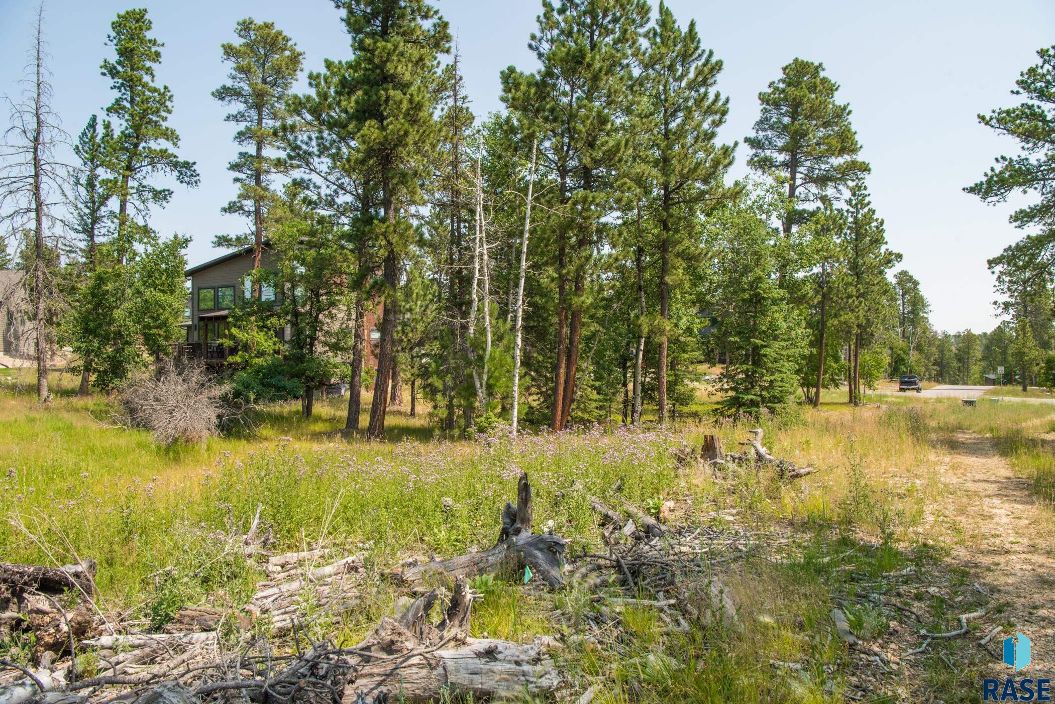 Tbd Rubys Way Way, Lead, South Dakota image 9