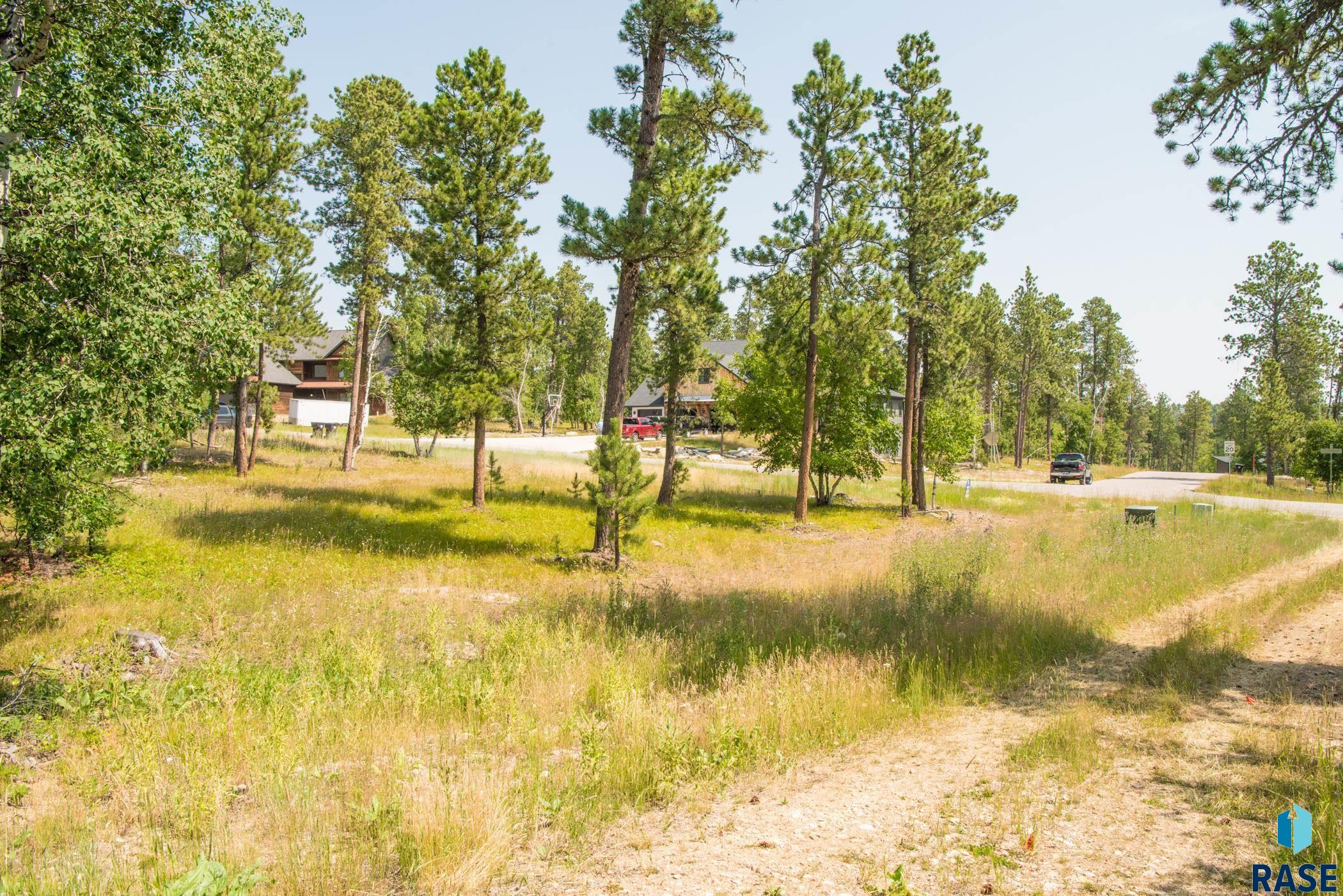Tbd Rubys Way Way, Lead, South Dakota image 14