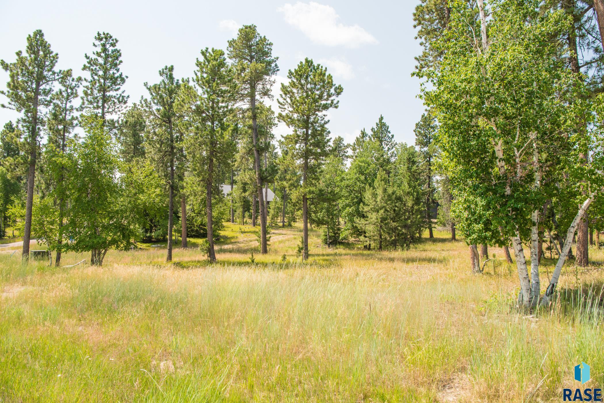 Tbd Rubys Way Way, Lead, South Dakota image 17