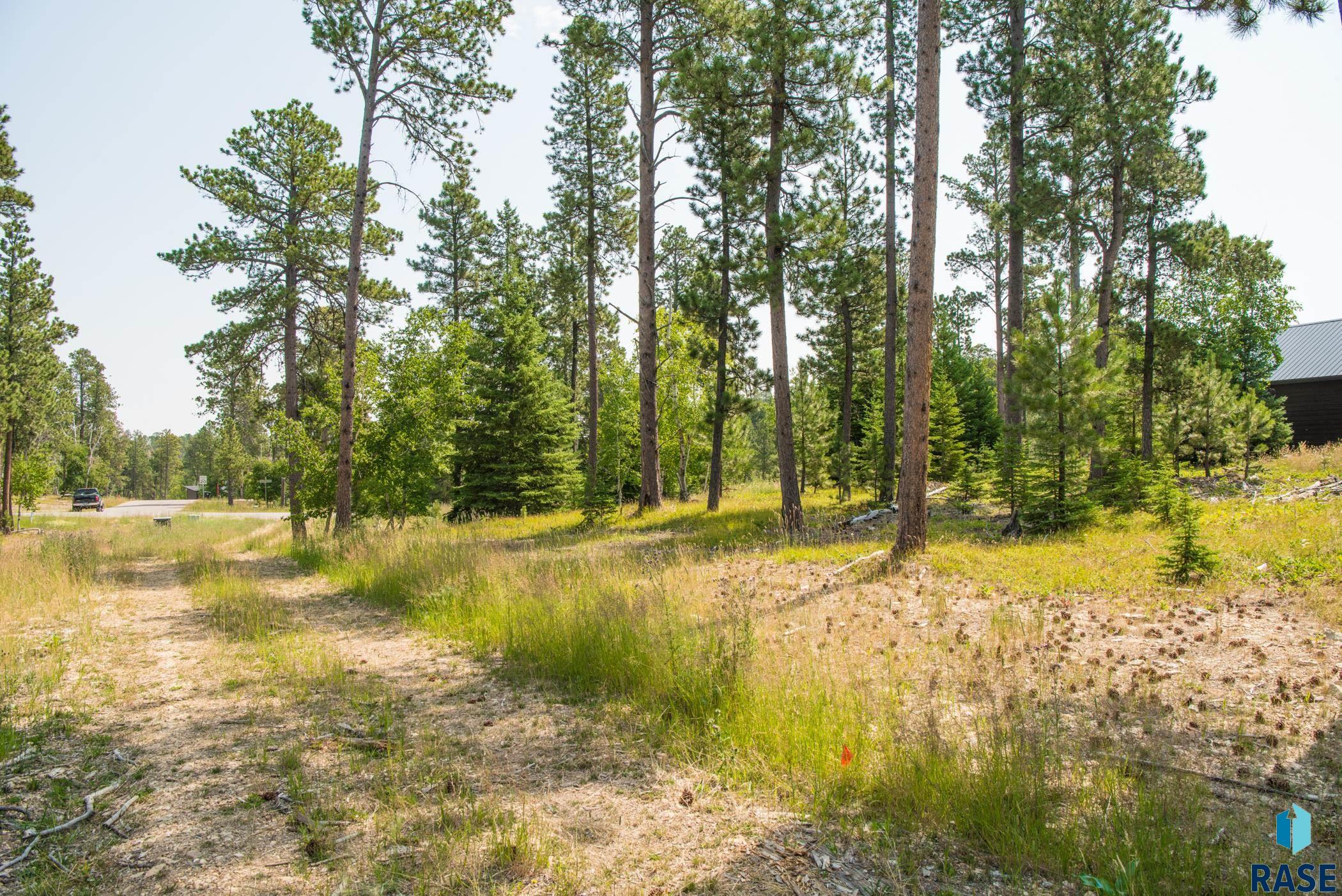 Tbd Rubys Way Way, Lead, South Dakota image 8