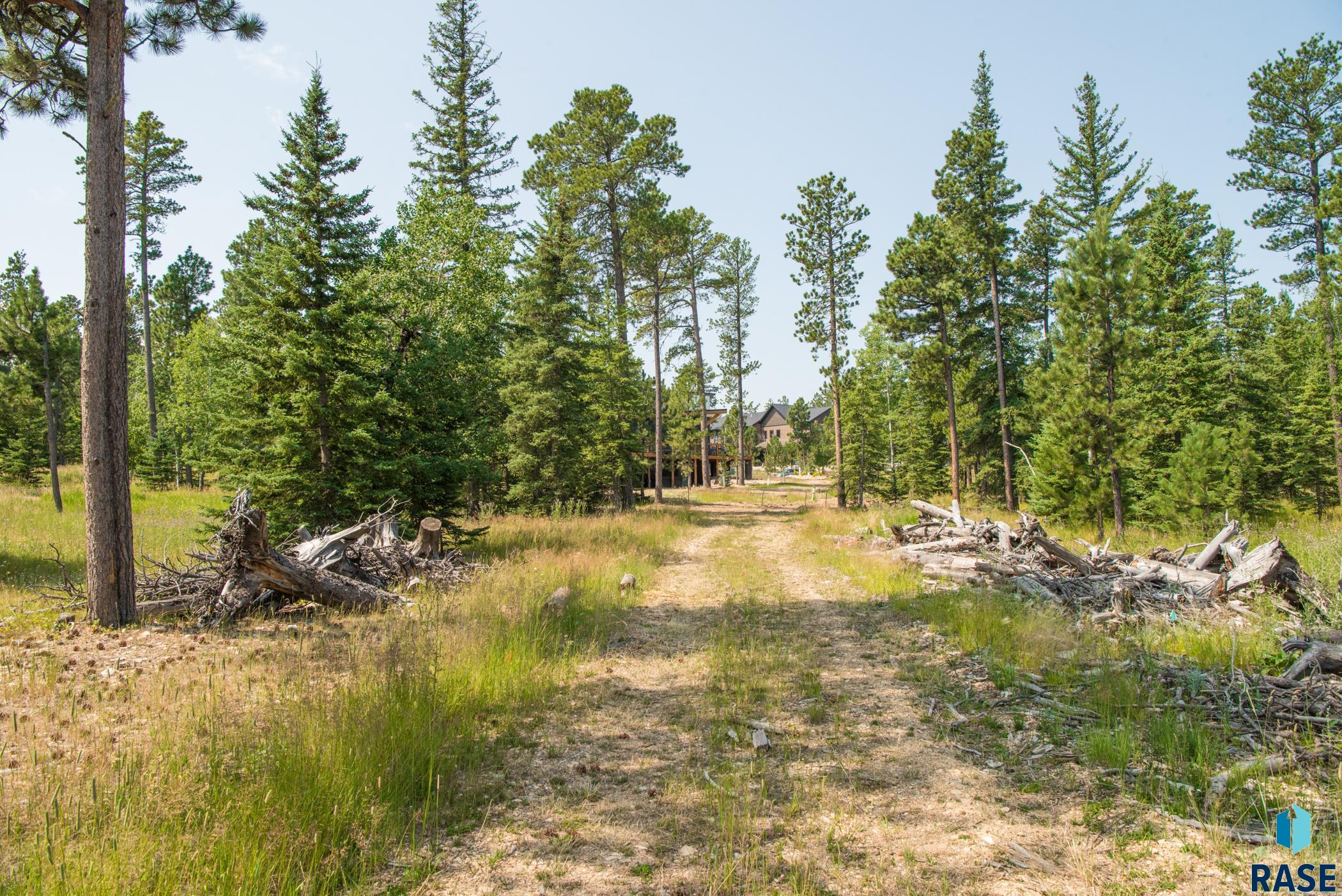 Tbd Rubys Way Way, Lead, South Dakota image 7