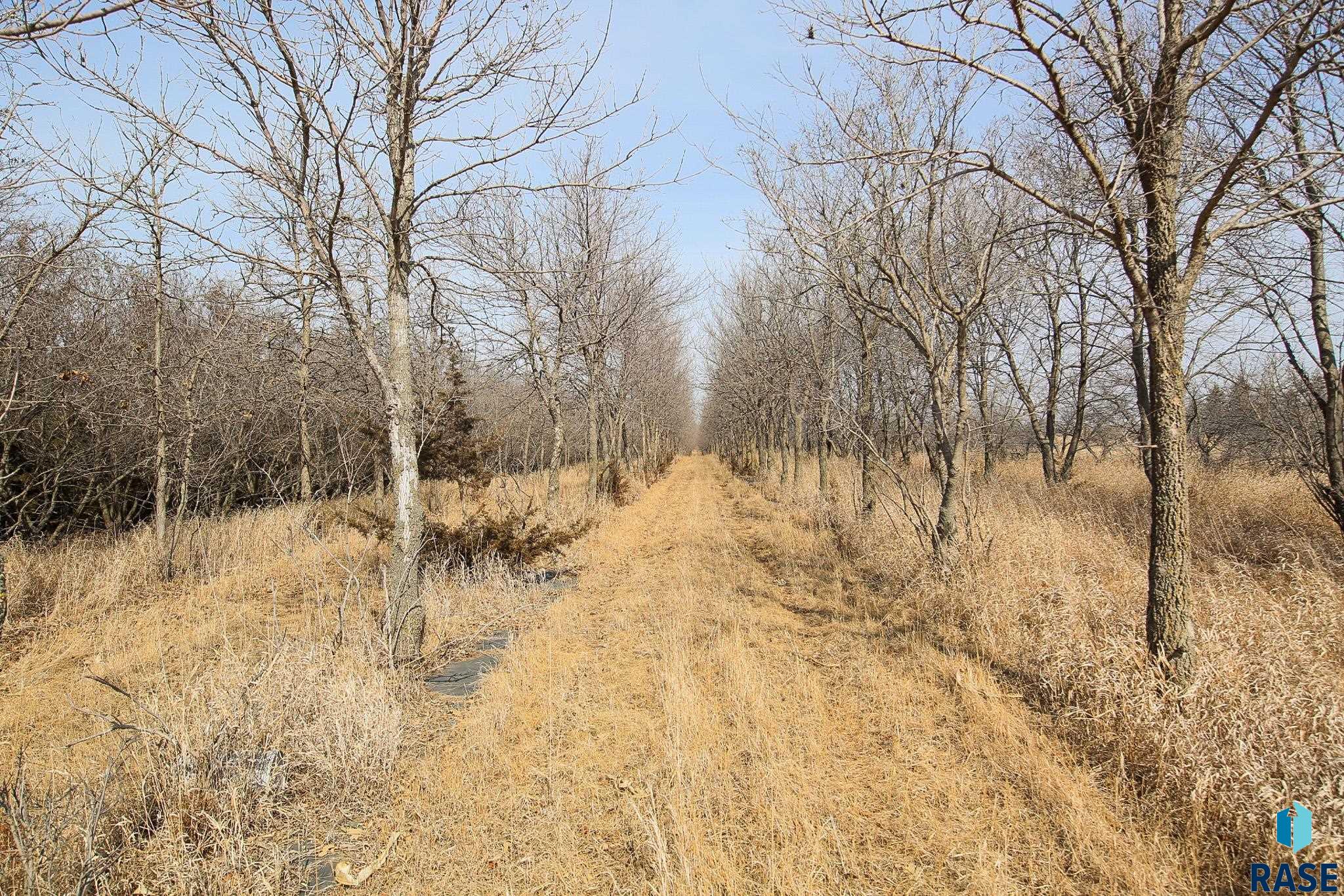2010 E 9th St Street, Hartford, South Dakota image 10