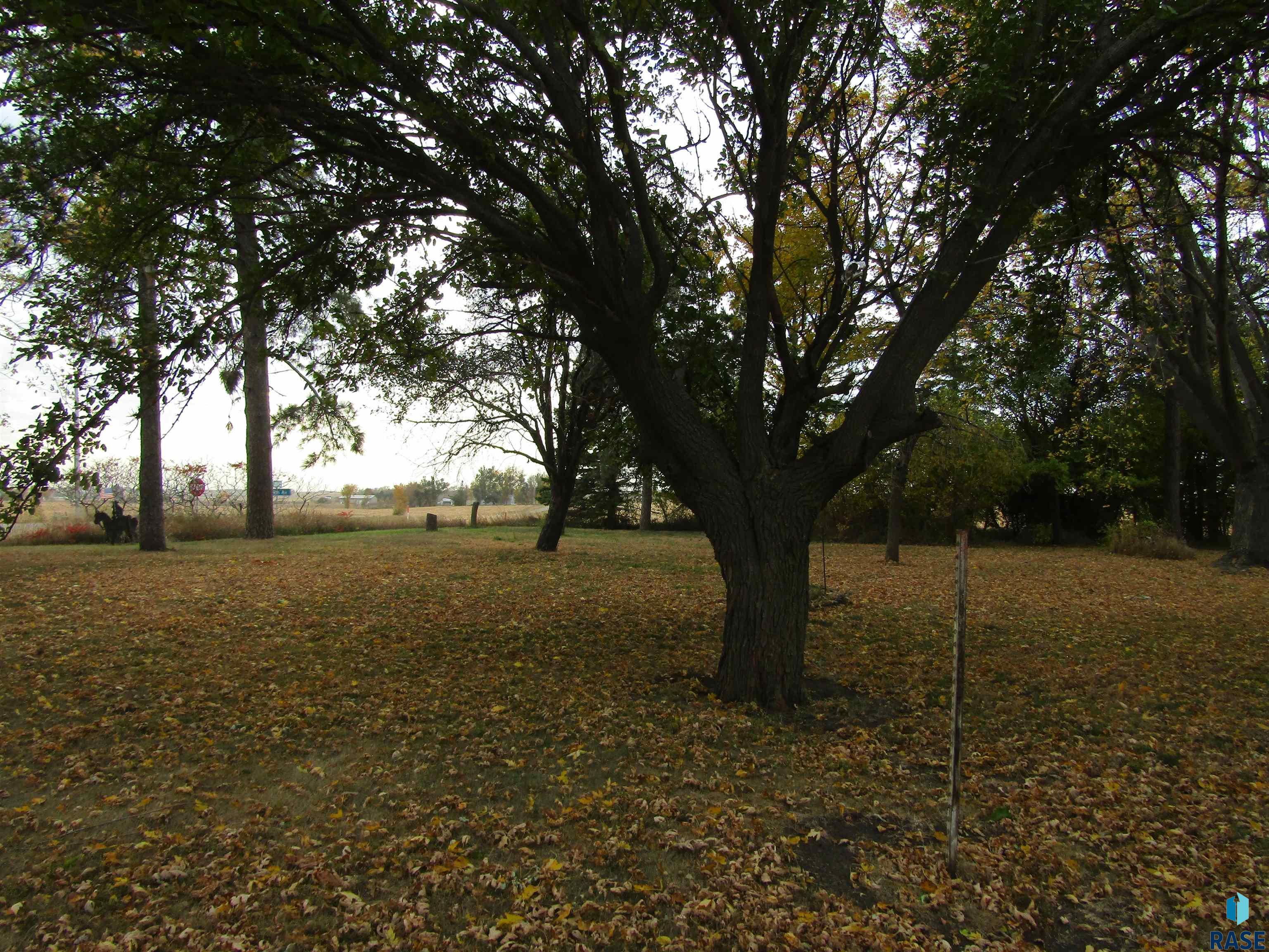 45904 258th St Street, Humboldt, South Dakota image 37