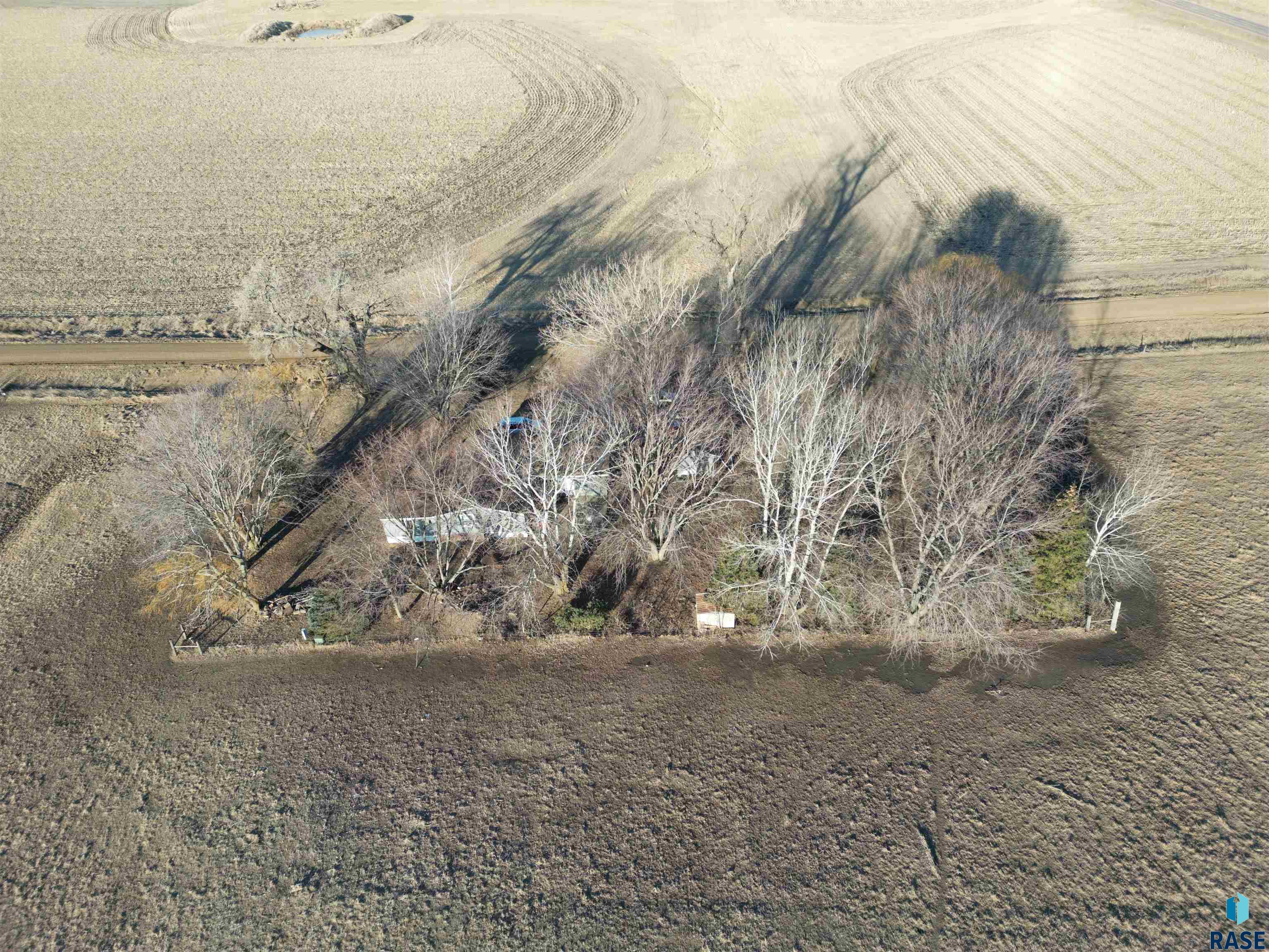26818 462nd Ave Avenue, Chancellor, South Dakota image 2