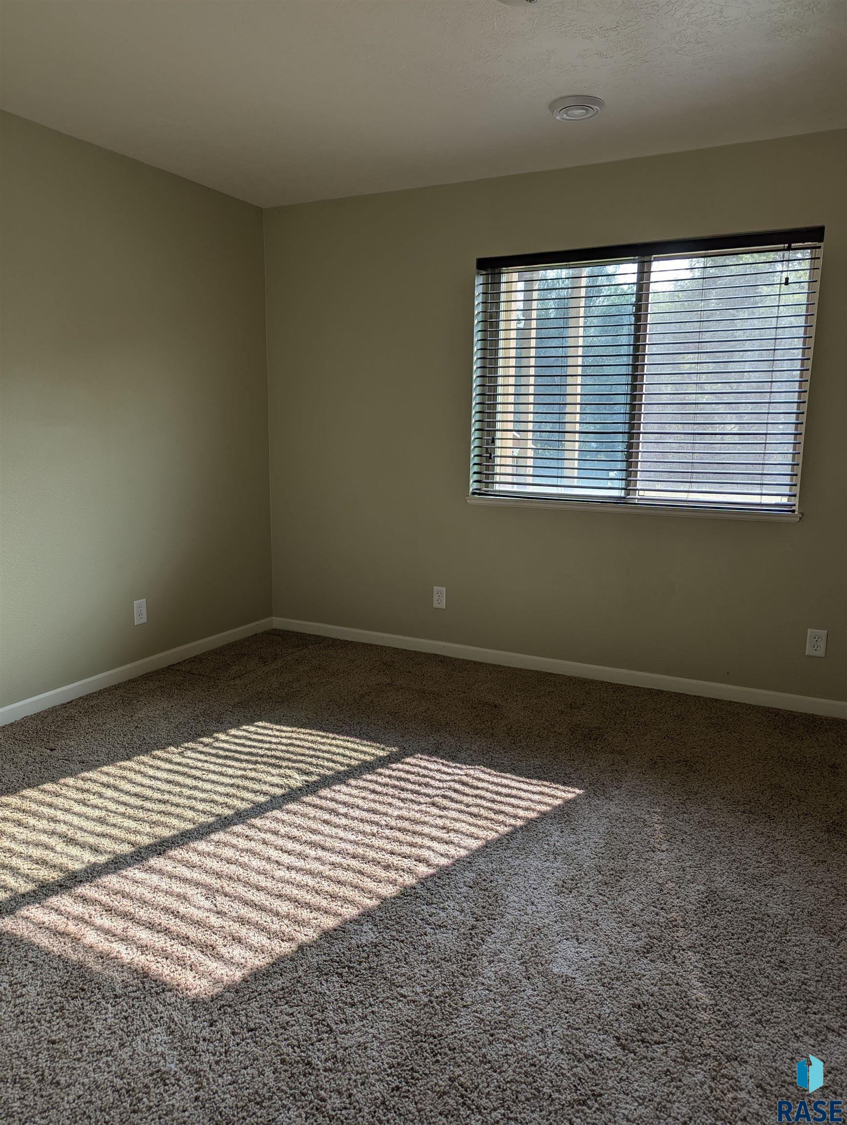 1313 W Creekside Dr Drive, Brandon, South Dakota image 18
