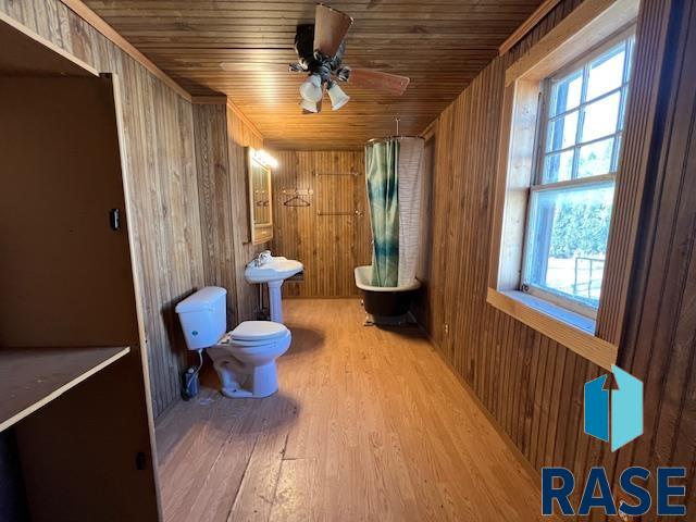 210 S Clark St Street, Viborg, South Dakota image 10