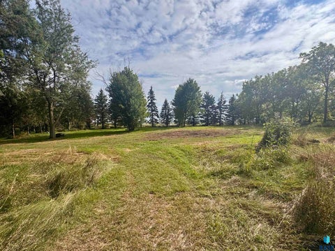 Vacant Land For Sale - 47166 245th Street<br/> Dell Rapids, SD 57022