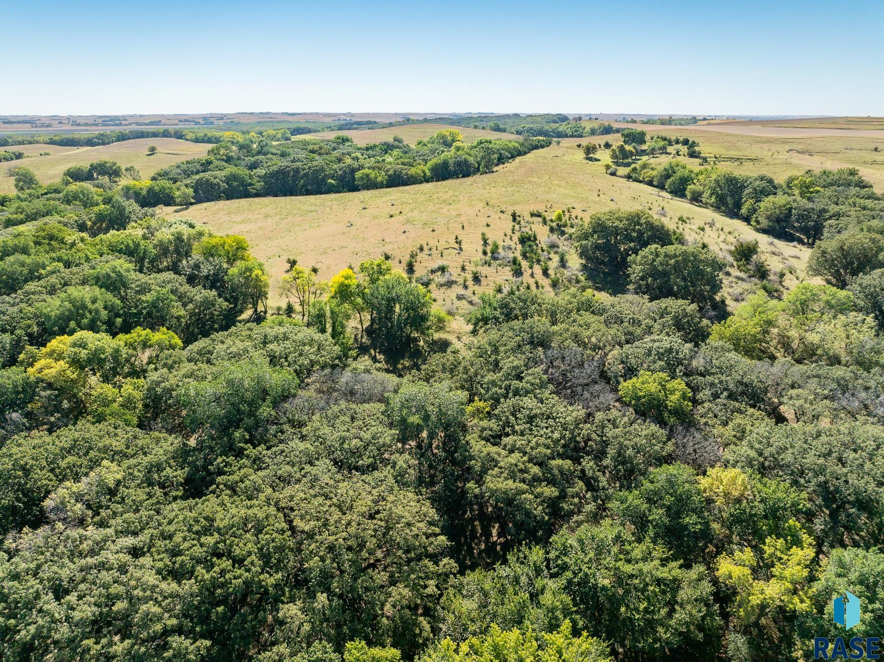 308th St Street, Alcester, South Dakota image 8