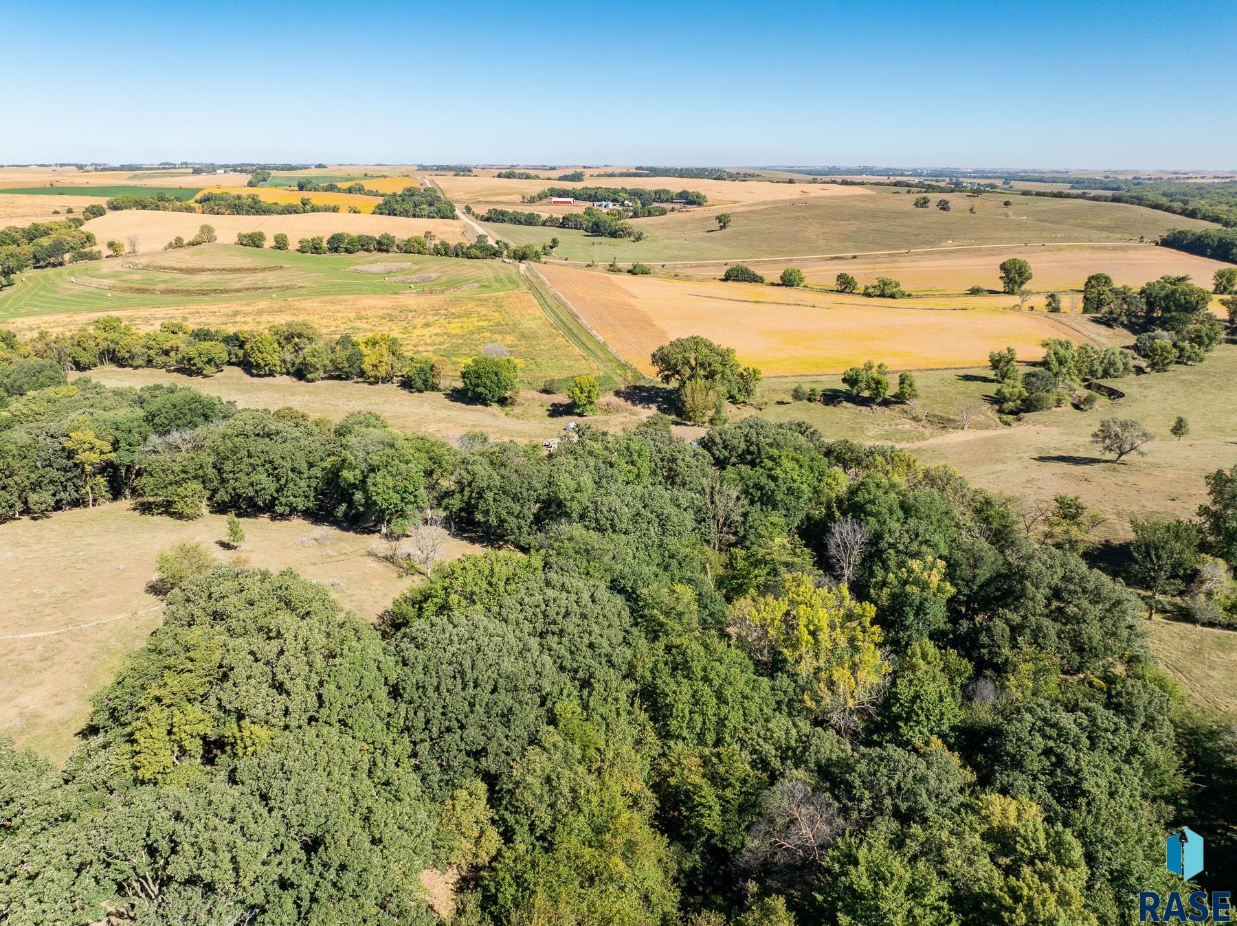 308th St Street, Alcester, South Dakota image 7