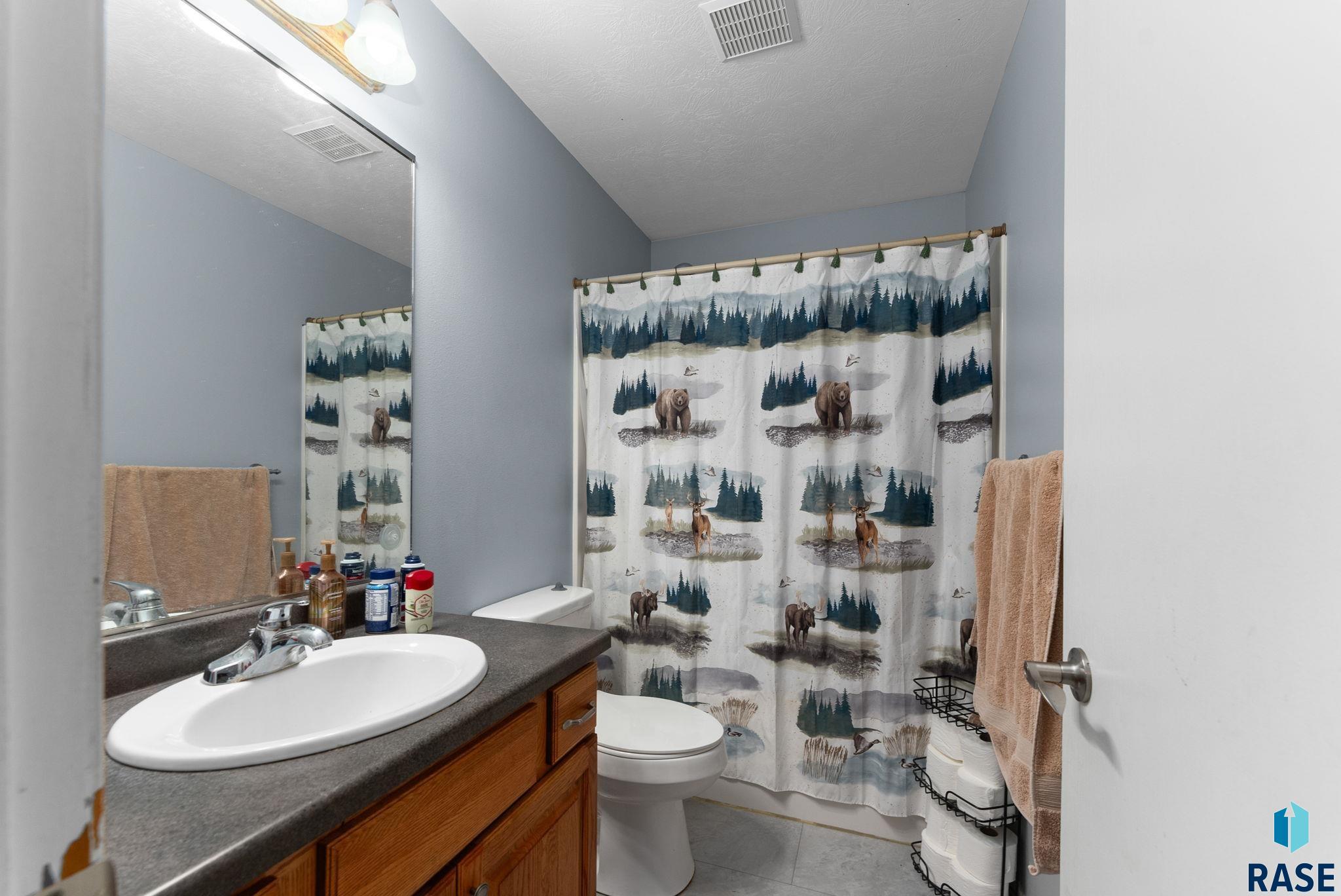 705 N Agate Ave Avenue, Brandon, South Dakota image 13