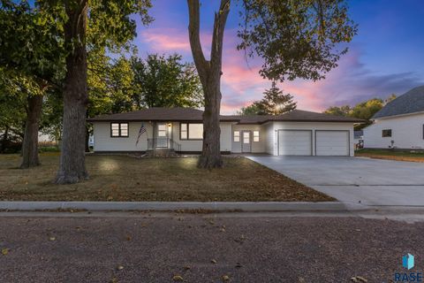 Homes For Sale - 740 N Minnesota Street<br/> Salem, SD 57058