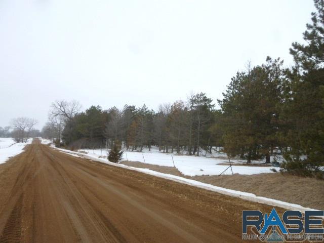 290th St Street, Viborg, South Dakota image 3