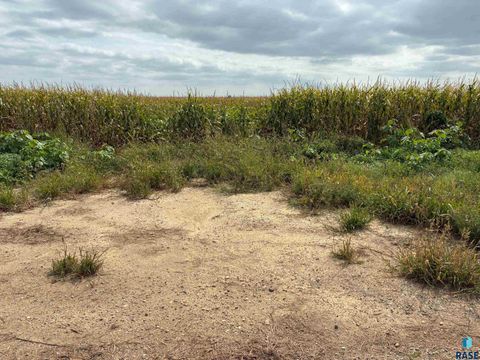 Homes For Sale - 459th Street<br/> Vermillion, SD 57069