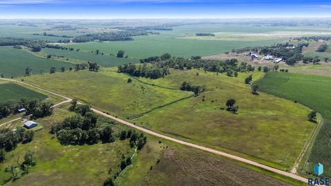 Vacant Land For Sale - 30239 463rd Tract #2 Avenue<br/> Centerville, SD 57014