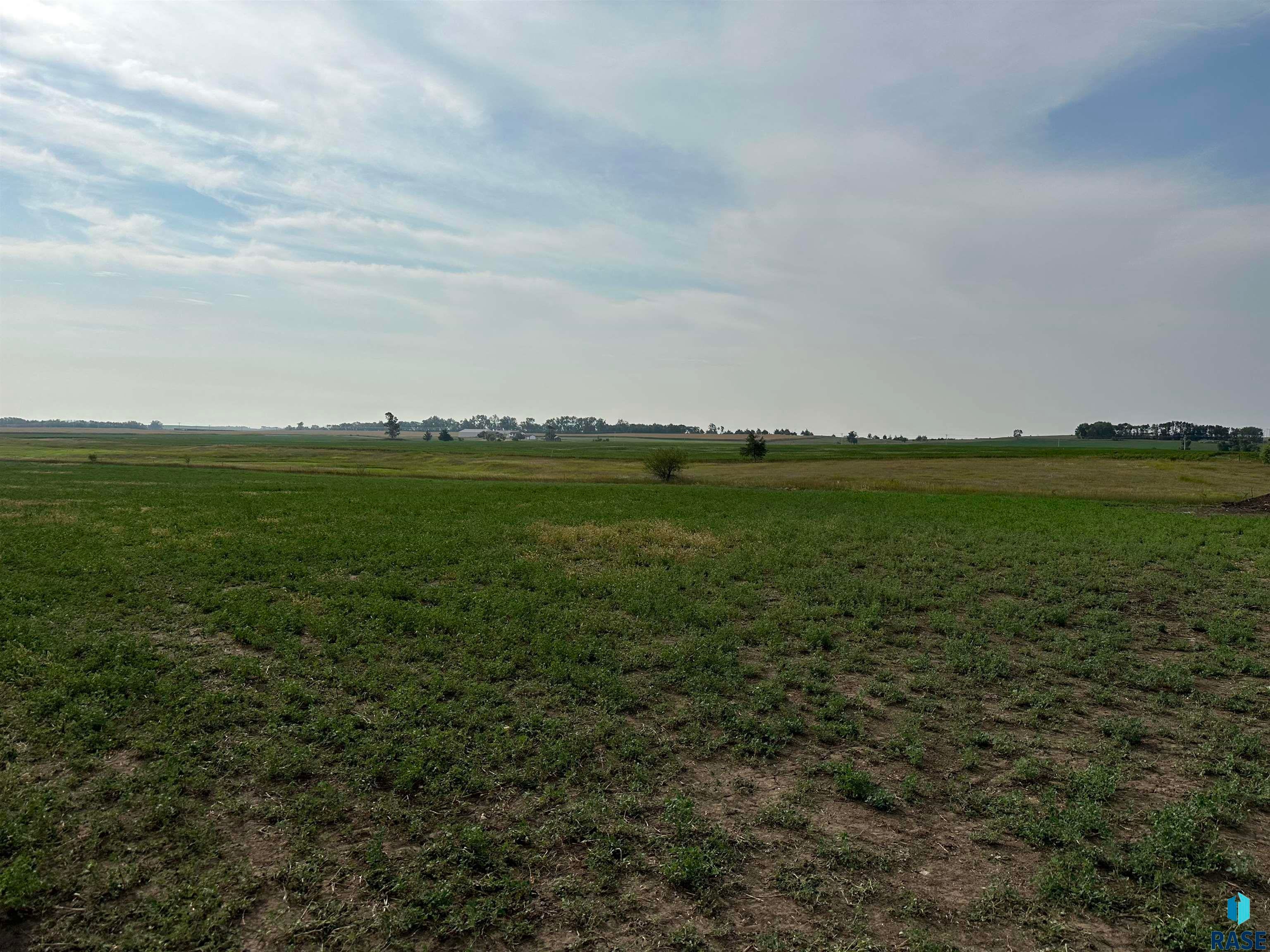 2140 Harvest Creek Ln - Photo 3