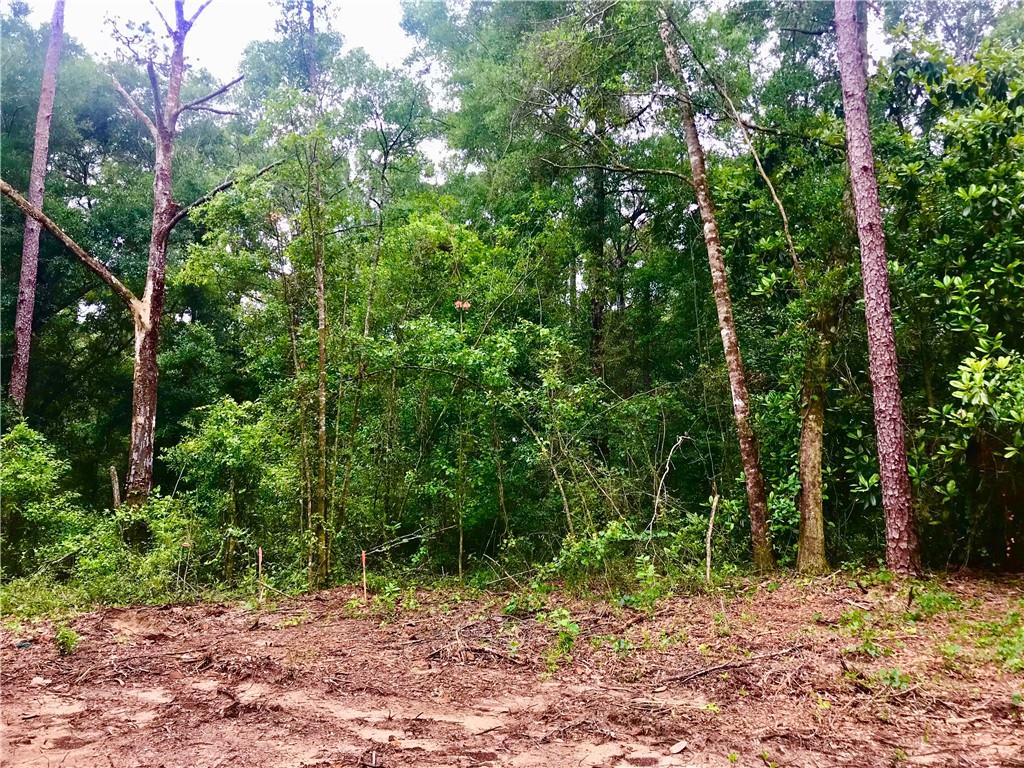 Photo 1 of 4 — 21801 Sedlack Road, Silverhill, AL 36576
