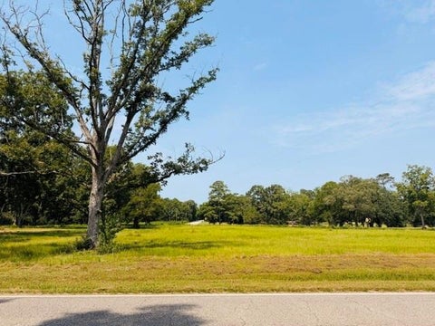 Photo of 0 Driskell Loop Road W, Wilmer, AL 36587 (MLS # 7815126)