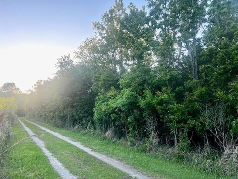 Photo of 0 Bellingrath Road, Theodore, AL 36582 (MLS # 7560719)