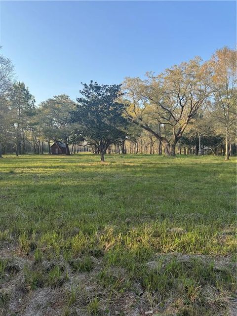 Photo of 9170 Little River Road, Bayou La Batre, AL 36509 (MLS # 7741558)