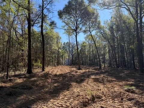 Photo of 0 Danner Road, Wilmer, AL 36587 (MLS # 7764433)