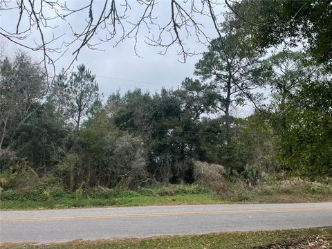Photo of 8965 Warner Street W, Bayou La Batre, AL 36509 (MLS # 7688960)