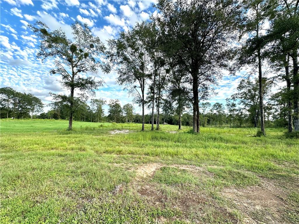 Mobile, Alabama 36608, United States, ,Land,Active,43958