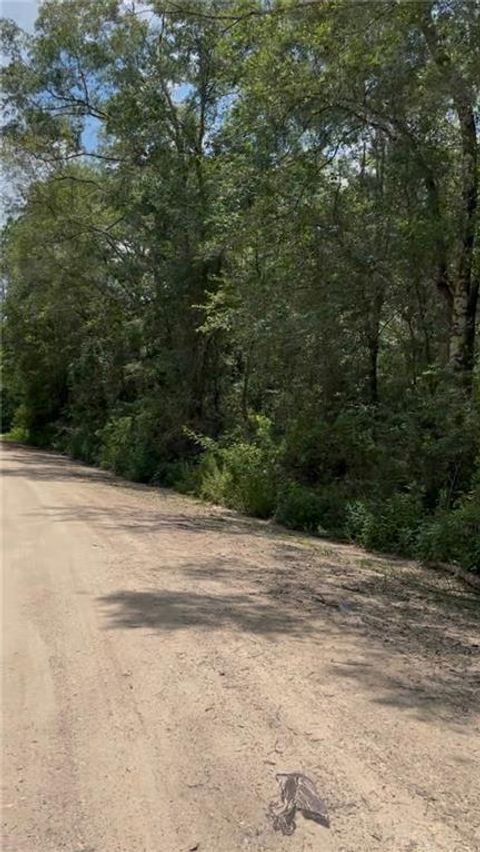Photo of 0 Leatherwood Drive, Theodore, AL 36582 (MLS # 7803065)