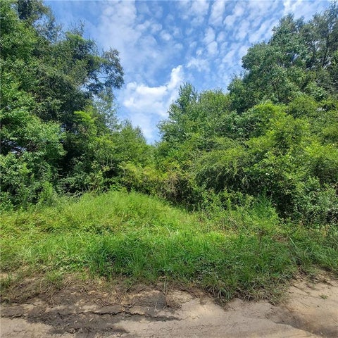 Photo of 0 Outlaw Road, Eight Mile, AL 36613 (MLS # 7810544)