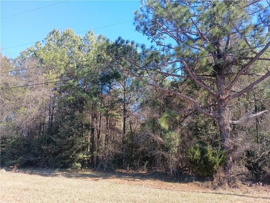 8820 BROADUS LOOP RD, EIGHT MILE, AL 36613 - Image 1b6b23ed9f5ca41e074e192a555b49ce/626671369