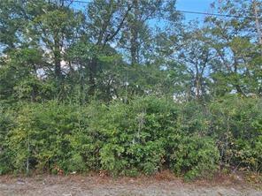Photo of 0 Moffett Road, Wilmer, AL 36587 (MLS # 7795356)