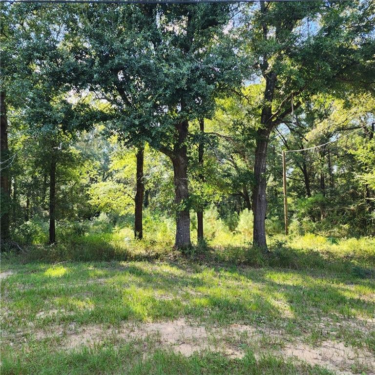 5507 Henry Road - Photo 3