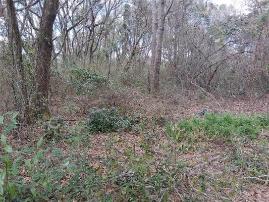 LAWSON DR, GRAND BAY, AL 36541 - Image 287dacda2077ed28224ca5af10fdd8e7/2824144935