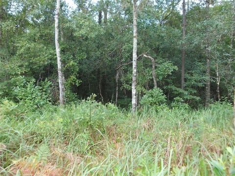 Photo of 0 Boothtown Road, Citronelle, AL 36522 (MLS # 7802417)