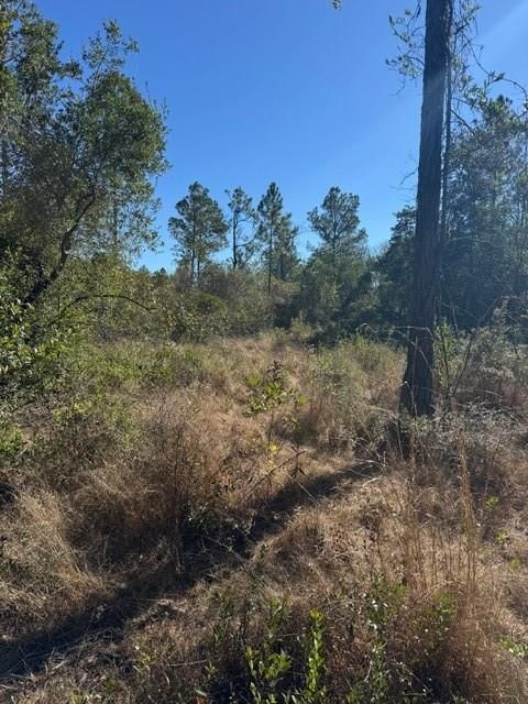 Photo of 0 C C Trail, Satsuma, AL 36572 (MLS # 7697931)