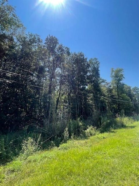 Photo of Lot 6 Belle Fontaine Boulevard, Theodore, AL 36582 (MLS # 7664062)