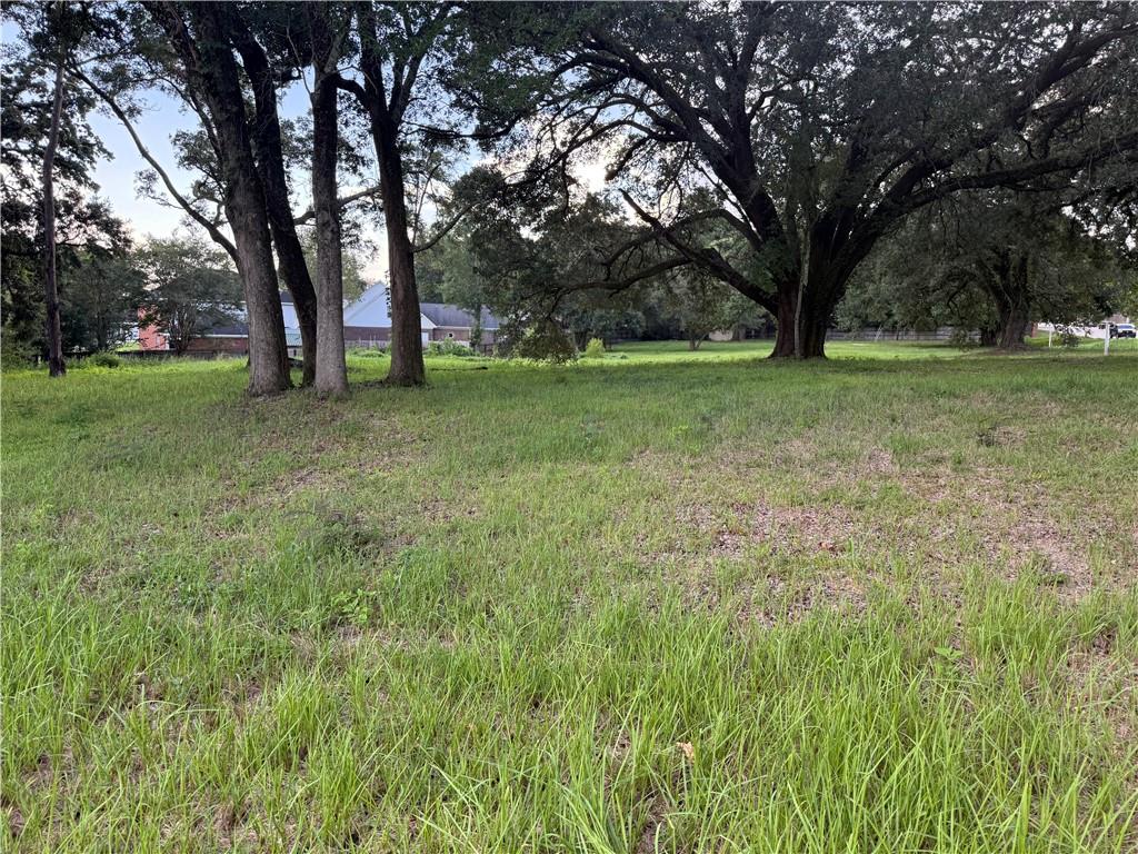 7241 Grelot Road - Photo 2